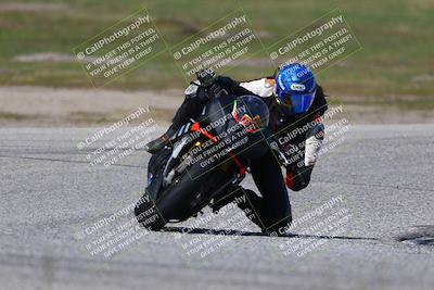 media/Mar-23-2025-TrackDaz (Sun) [[88a7749186]]/A Group/2pm (Cotton Corners)/